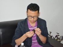 中國(guó)農(nóng)業(yè)大學(xué)副教授